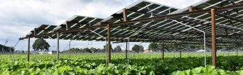 Agri-PV dubbelfuncties