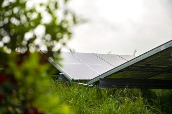 Zonnepark bij Wetterskip Fryslân