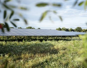 Zonnepark Oranjepoort Emmen