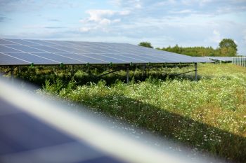 Zonneparken Oranjepoort Emmen