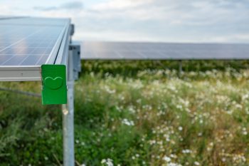 Zonnepark Oranjepoort Emmen