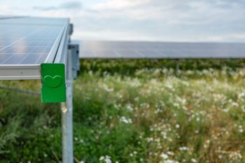 Zonnepark Oranjepoort Emmen