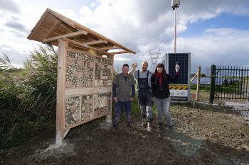 Insectenhotel bij zonnepark