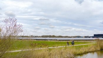 natuur omgeving zonnepark