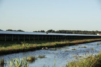 zonne-energie en natuurlijke omgeving