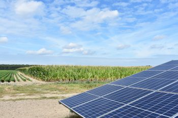 Zonnepark nabij Emmeloord