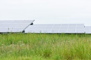 Zonnepark nabij Emmeloord