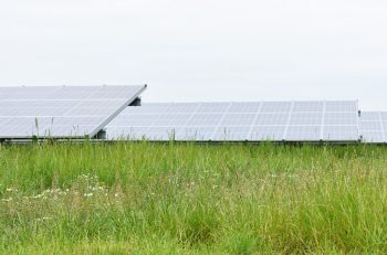 Zonnepark nabij Emmeloord