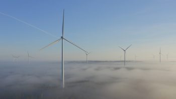 Windmolens in een landschap