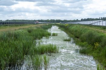 Zonnepark Exloo Zonnepark Exloo