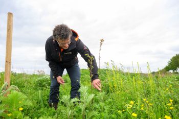 Tjibbe Bosma bij Zonnepark Appelscha Tjibbe Bosma bij Zonnepark Appelscha