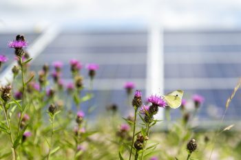 GroenLeven inpassing